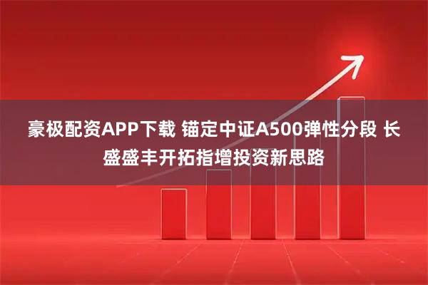 豪极配资APP下载 锚定中证A500弹性分段 长盛盛丰开拓指增投资新思路