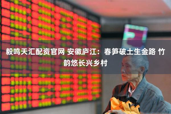 毅鸣天汇配资官网 安徽庐江：春笋破土生金路 竹韵悠长兴乡村