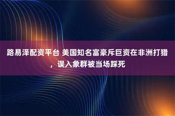 路易泽配资平台 美国知名富豪斥巨资在非洲打猎，误入象群被当场踩死